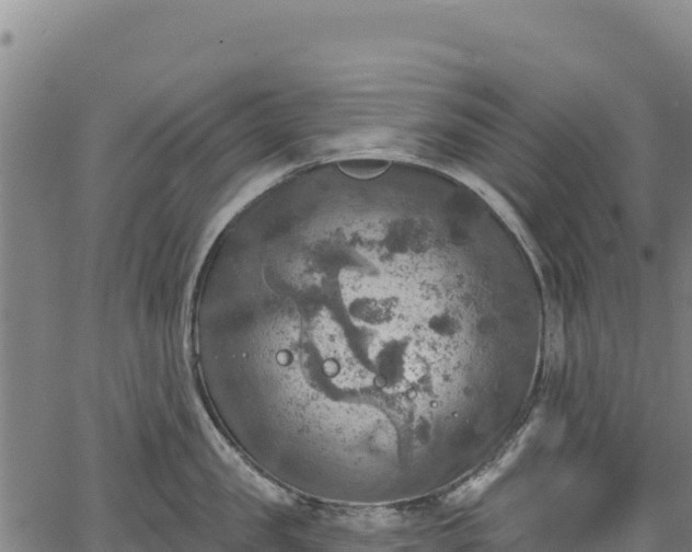 X0000066950957200603311439