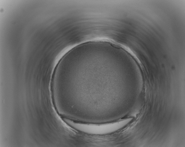 X0000066950959200603311439