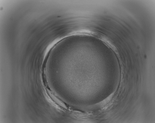 X0000066950960200603311439