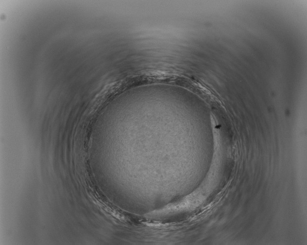 X0000066950961200603311438