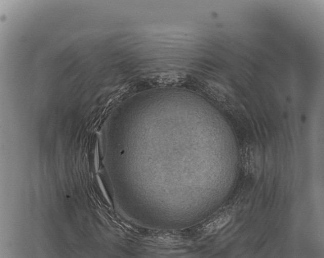 X0000066950962200603311438