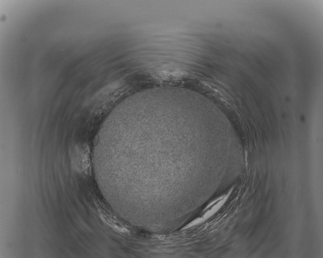 X0000066950963200603311438