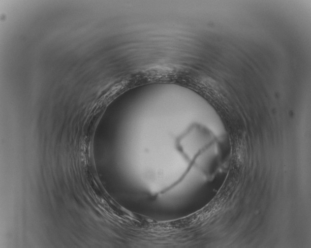 X0000066950964200603311438