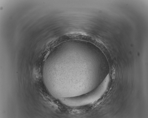 X0000066950965200603311438