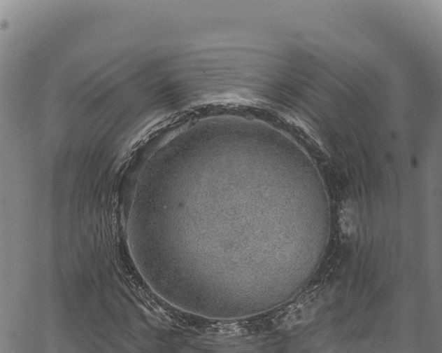 X0000066950968200603311438