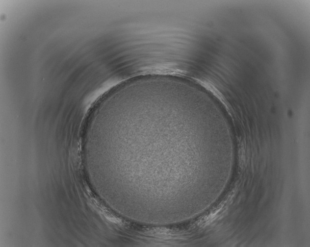 X0000066950971200603311438