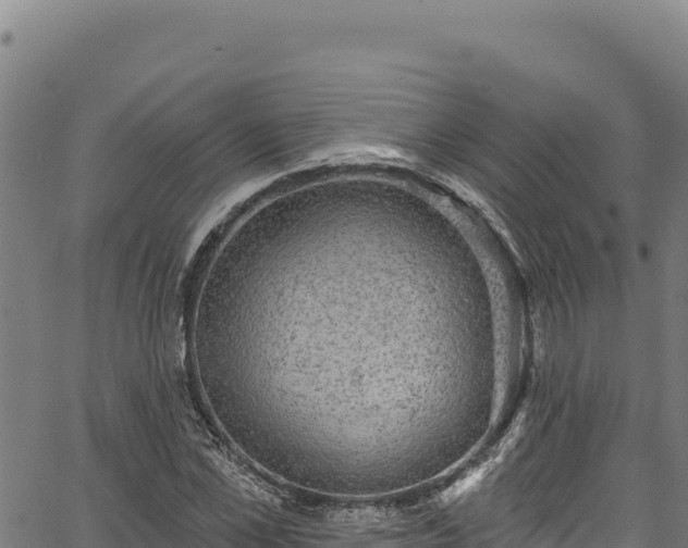 X0000066950973200603311438