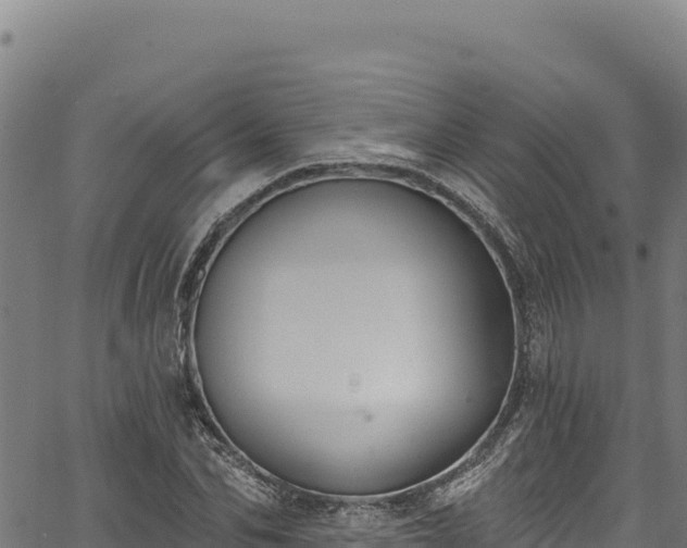 X0000066950974200603311438