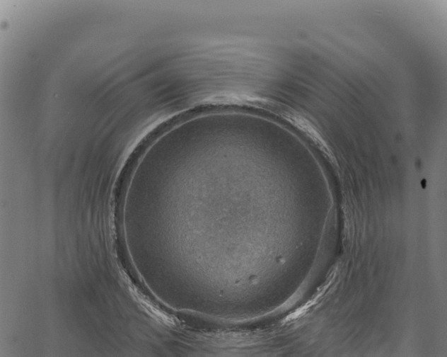 X0000066950976200603311438