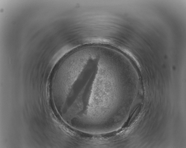 X0000066950983200603311438