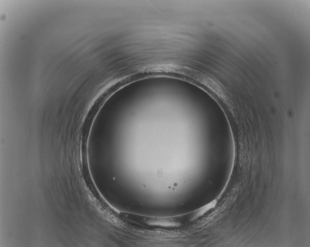 X0000066950984200603311438