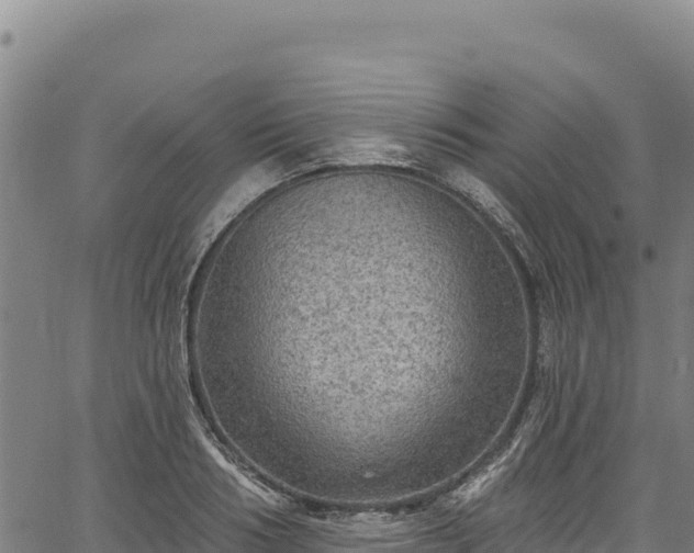 X0000066950986200603311438