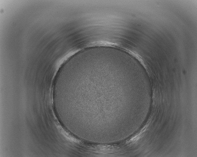 X0000066950987200603311438