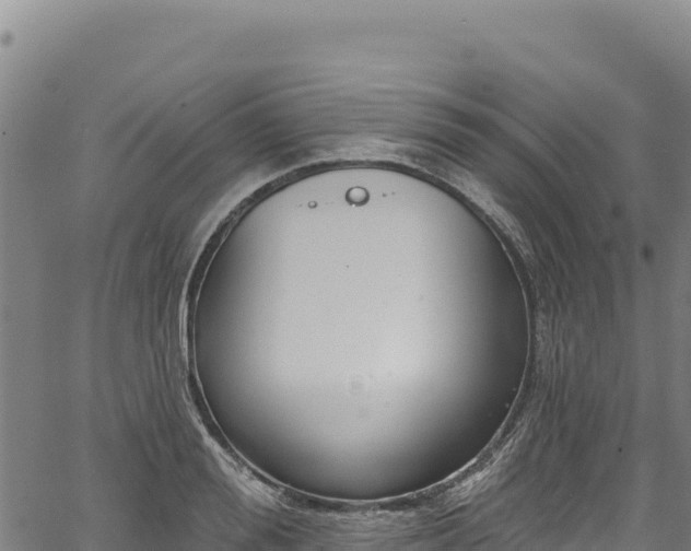 X0000066950988200603311438