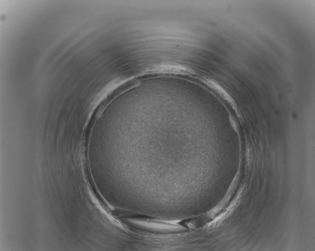 X0000066950989200603311438