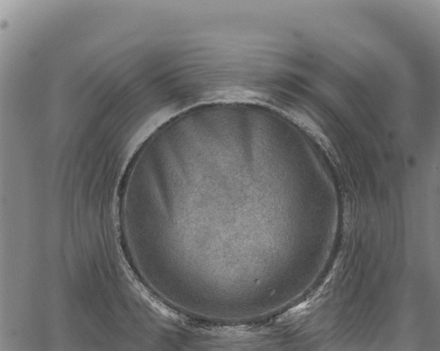 X0000066950990200603311438