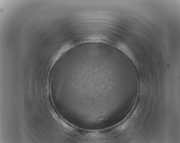 X0000066950994200603311438