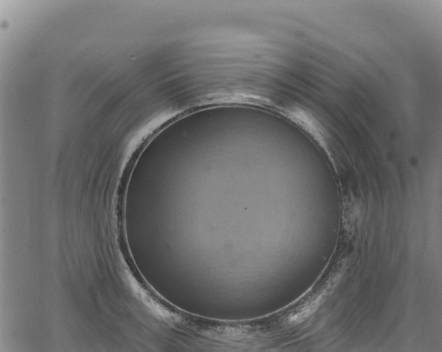 X0000066950995200603311438