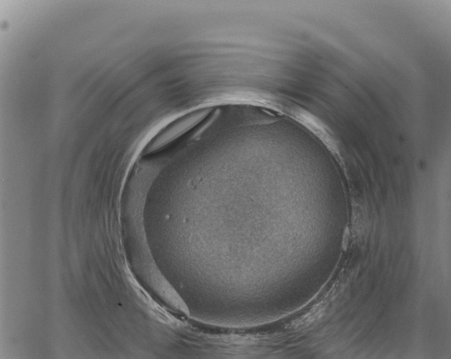 X0000066950996200603311438