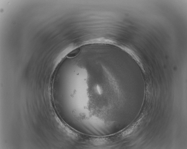 X0000066950998200603311438