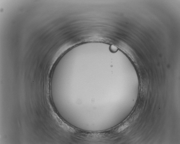 X0000066951000200603311437