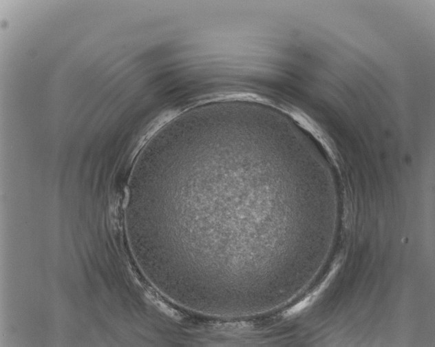 X0000066951001200603311437