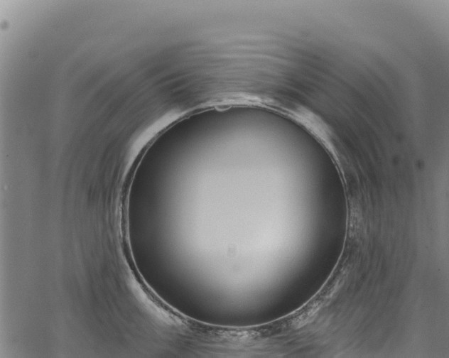 X0000066951003200603311437