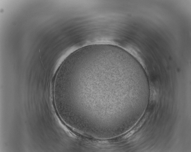 X0000066951006200603311437