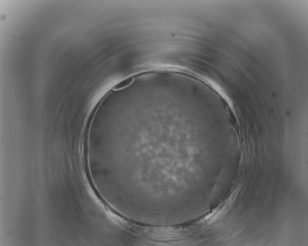 X0000066951007200603311437