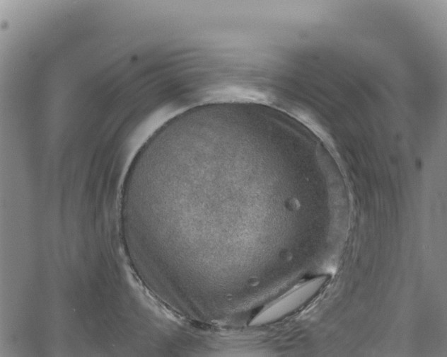 X0000066951008200603311437