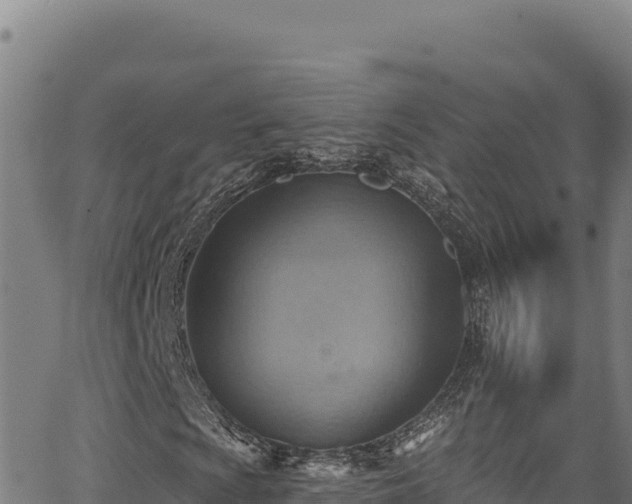 X0000066951009200603311437