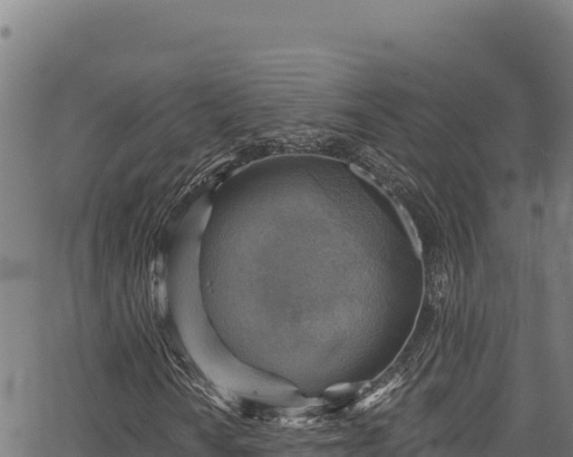 X0000066951010200603311437