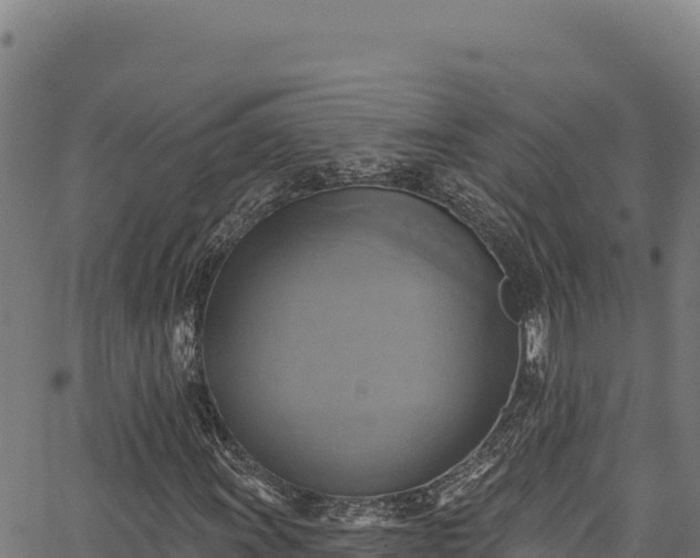 X0000066951011200603311437