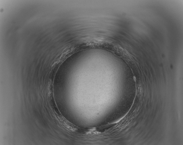 X0000066951012200603311437