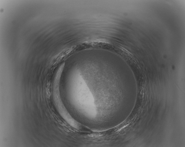 X0000066951014200603311437