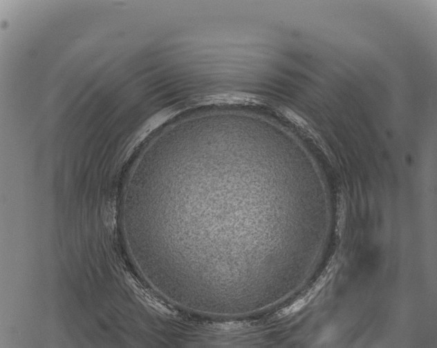 X0000066951017200603311437