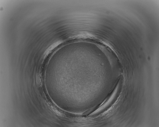 X0000066951018200603311437