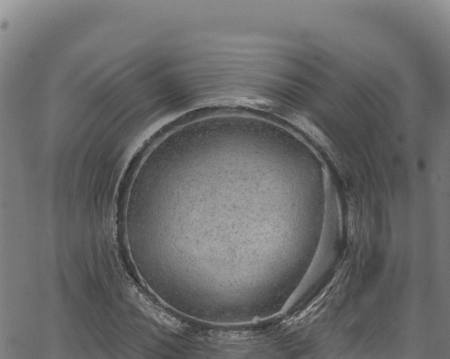 X0000066951020200603311437