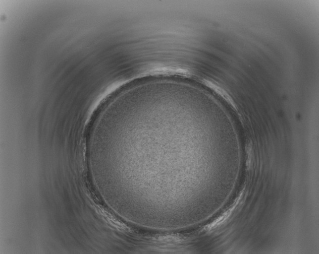 X0000066951021200603311437