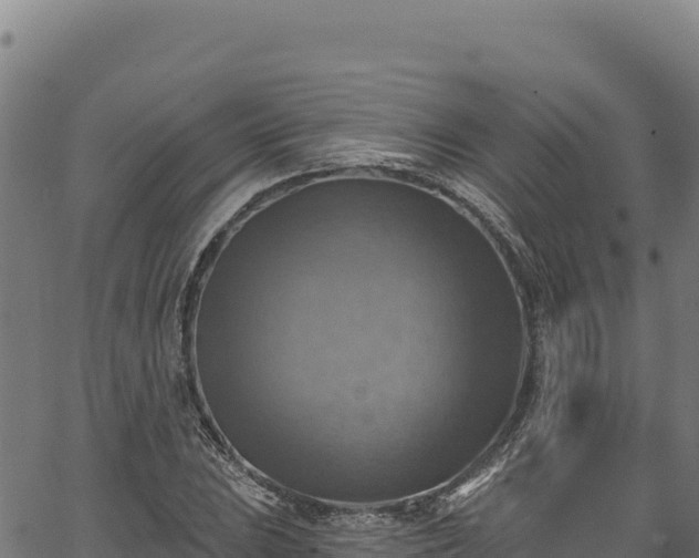 X0000066951023200603311437