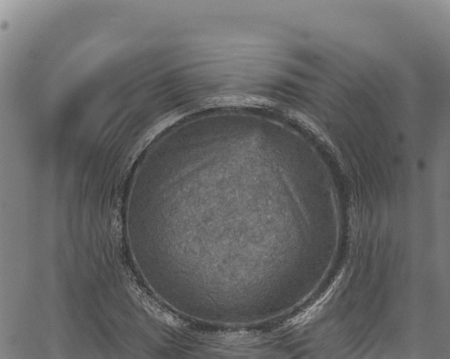 X0000066951025200603311437