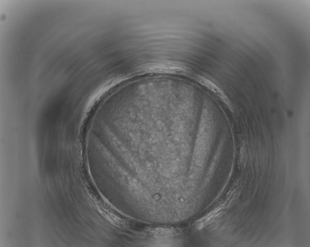 X0000066951027200603311437