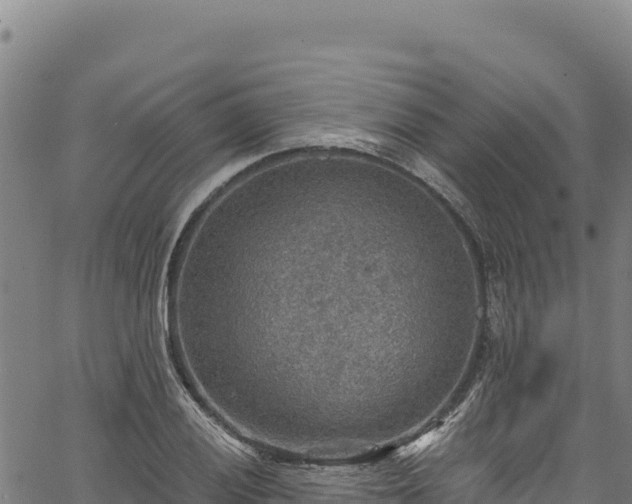 X0000066951028200603311437