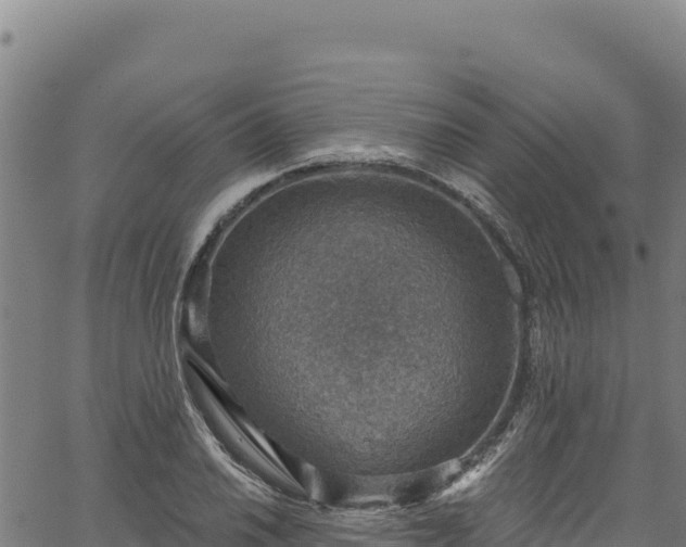 X0000066951030200603311437