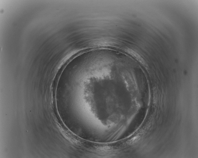 X0000066951031200603311437