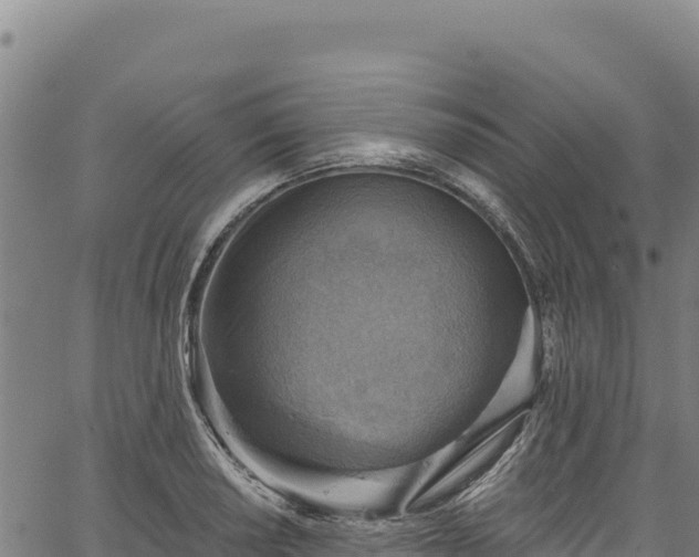 X0000066951034200603311437