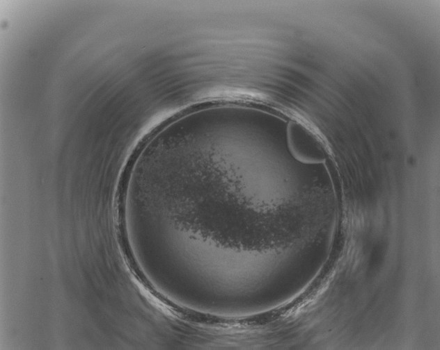 X0000066951037200603311437