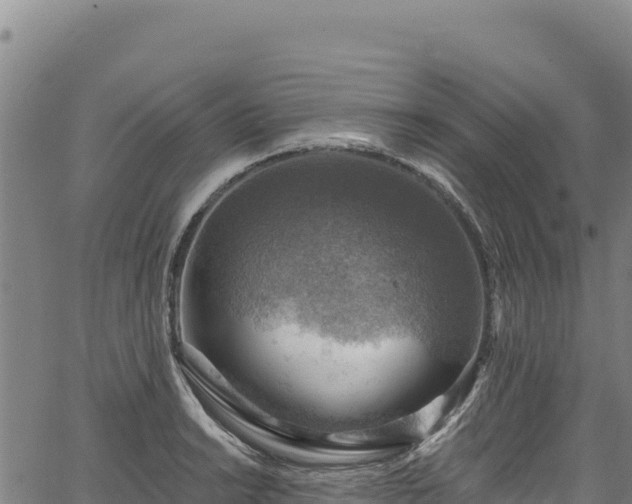 X0000066951038200603311437