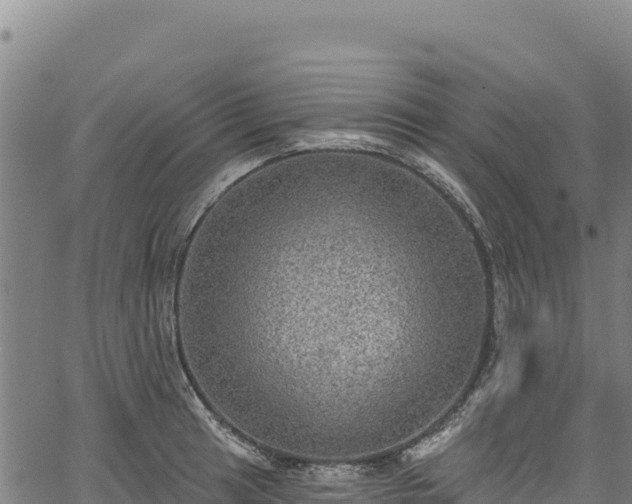 X0000066951041200603311437