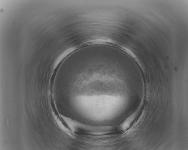 X0000066951042200603311437